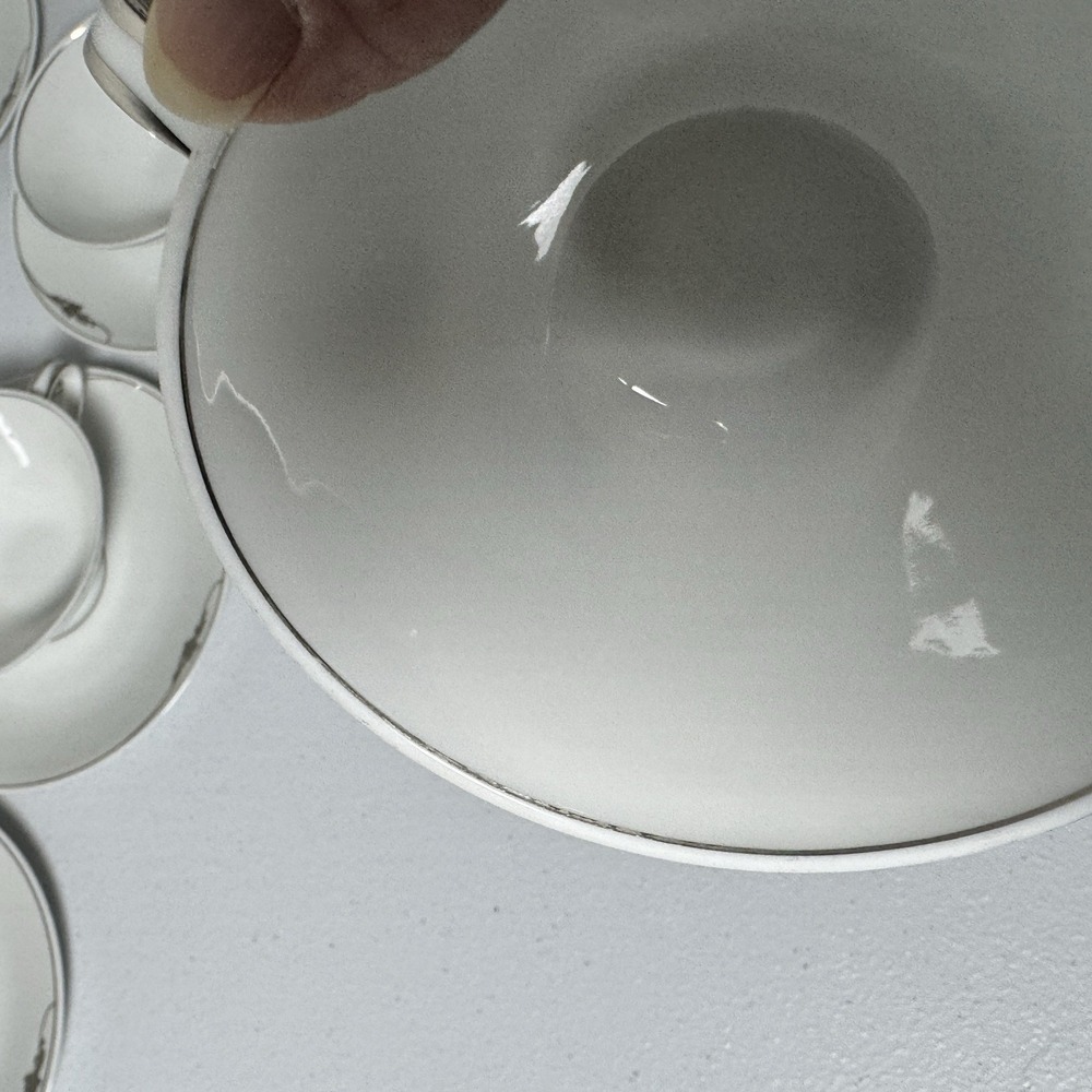 Vintage Hutschenreuther Selb Bavaria Rose Platinum Coffee Set Creamer Sugar 23pc - Picture 11 of 16